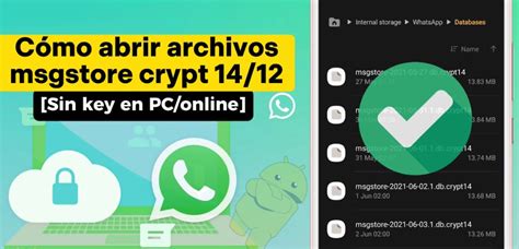 msgstore.db.crypt14 & bunkrr.su.